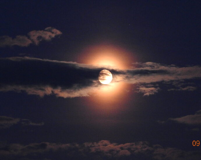 Not Tonight, but back in 2019