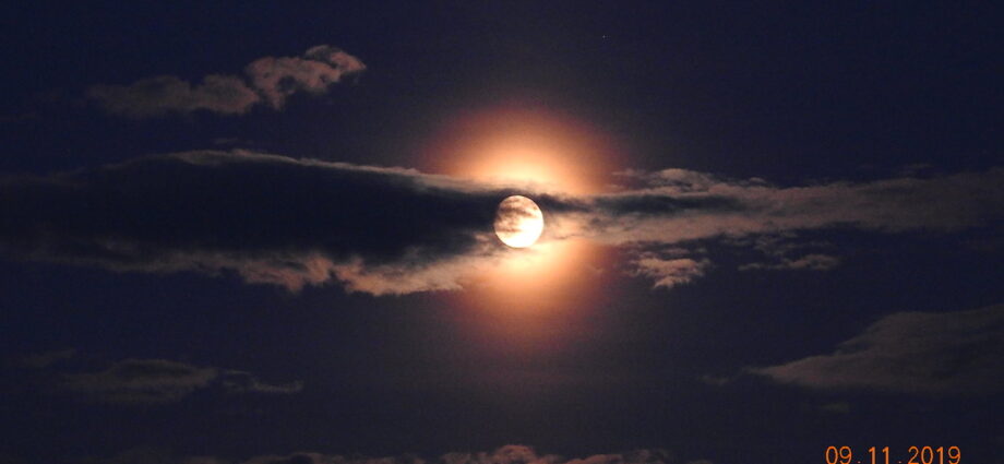 Not Tonight, but back in 2019